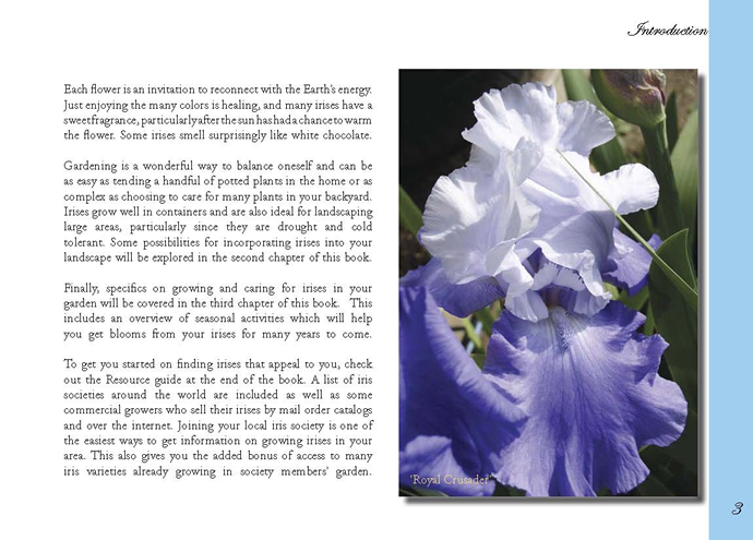 About Irises 2